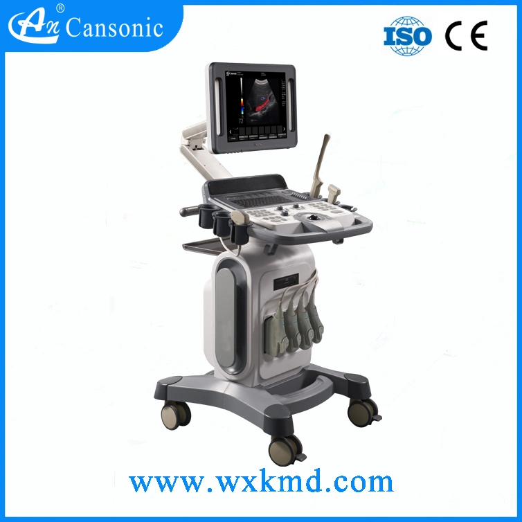 Digital Color Doppler Ultrasound Scanner (K10)