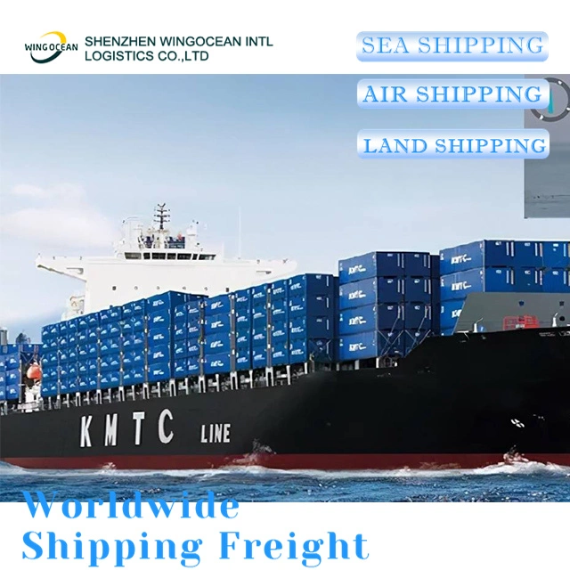 Low Price and Fast Boat Door to Door Service Shipping From China to India