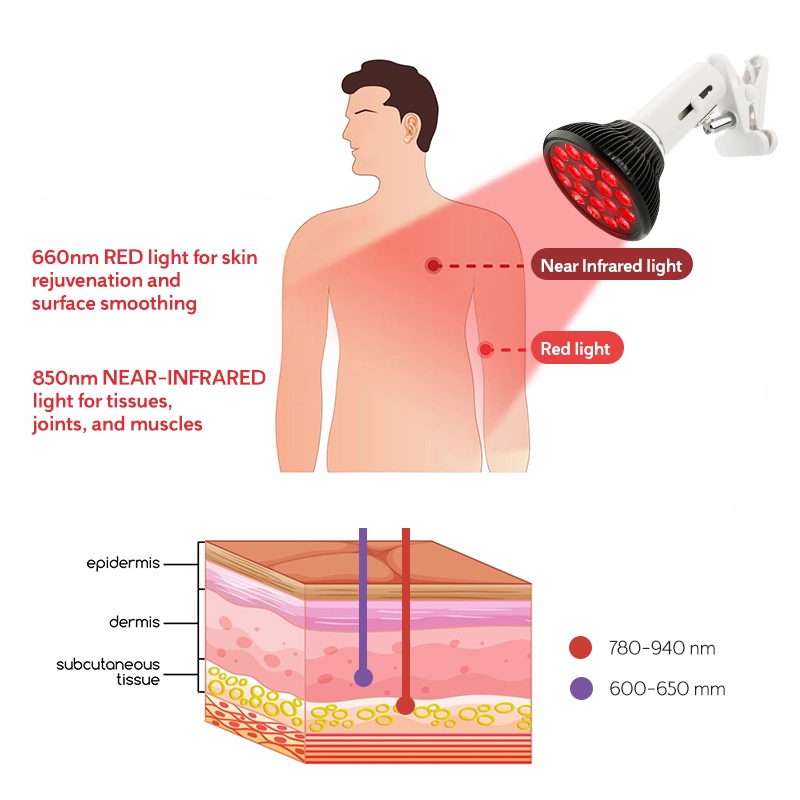 RltTime 2022 تصميم جديد ضوء الكولاجين المضاد للشيخوخة بالأشعة تحت الحمراء بالوجه لمبة الضوء الأحمر للعلاج