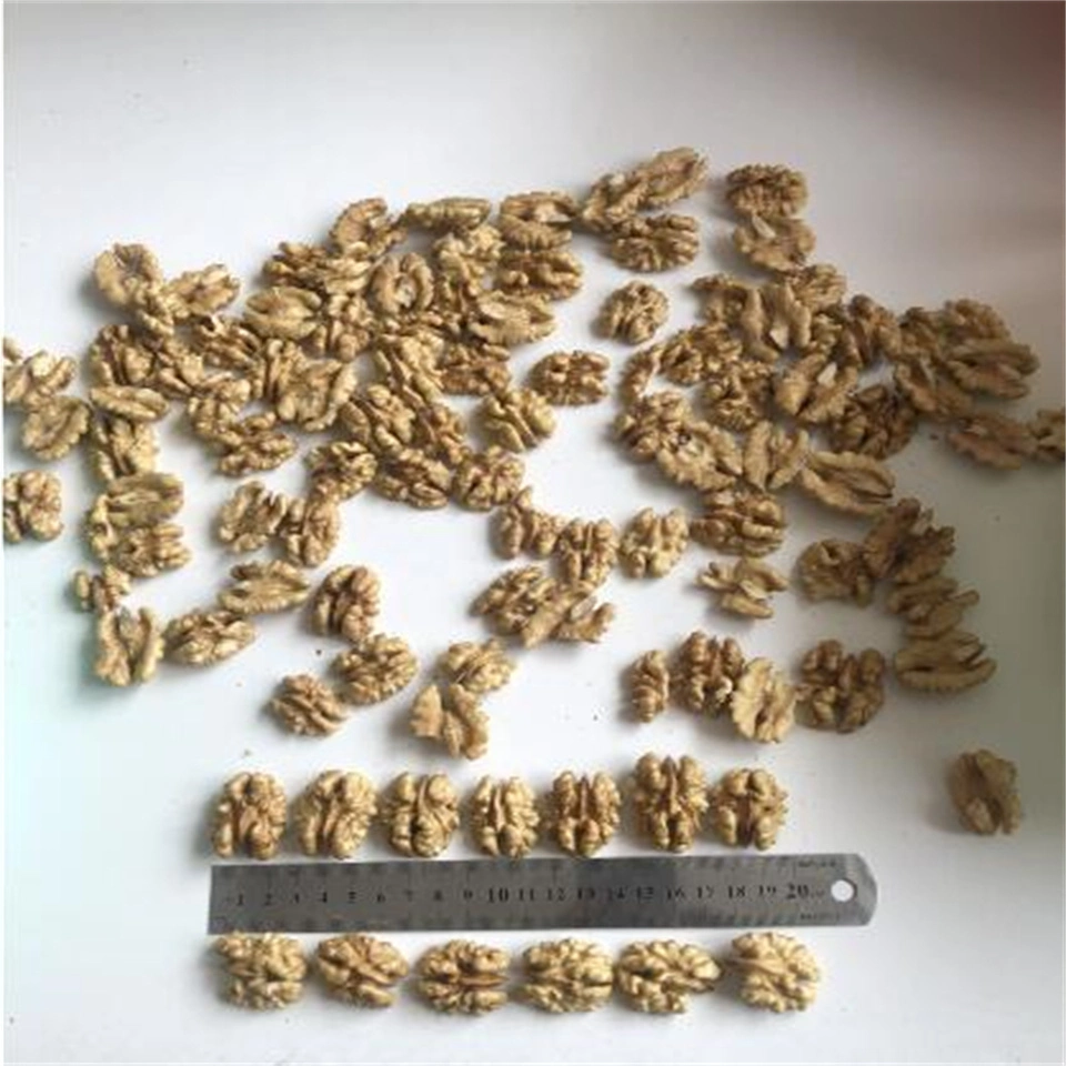 Factory Direct Selling New Crop Walnut Kernels with Low Price