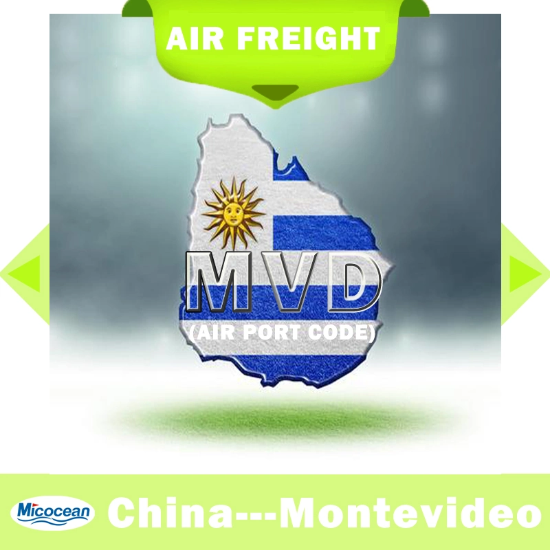 Professional Sea Freight Shipping to Montervideo/Uruguay FCL Service From China with Good Cargo Ship Price