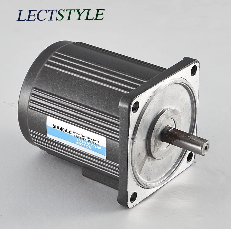 AC Electric Single Phase Induction Gear Motor