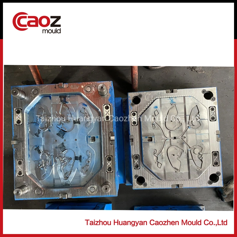 High Quality Plastic Injection Auto Car Part Mould (CZ-1533)