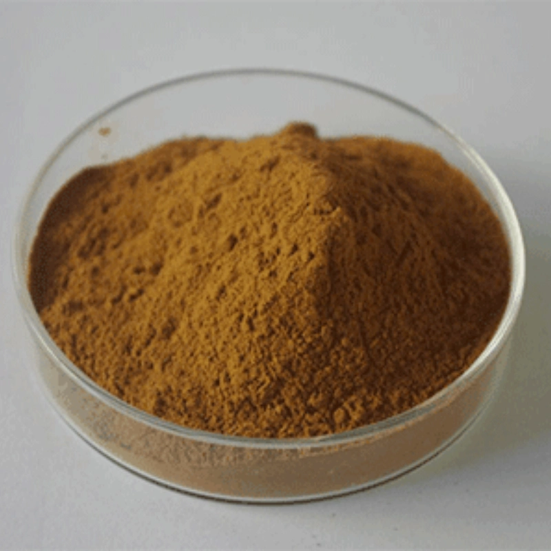 Factory Supply Herbal Extract Selaginella Tamariscina Extract