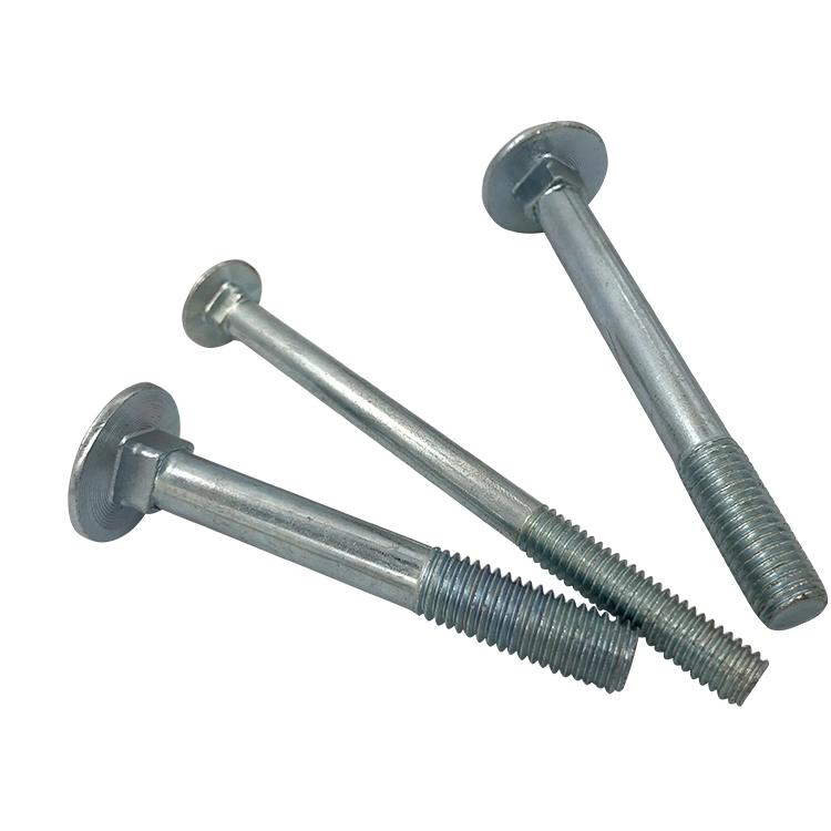 Stainless Steel 304 316 DIN603 Carriage Bolt M8X16 M8X100