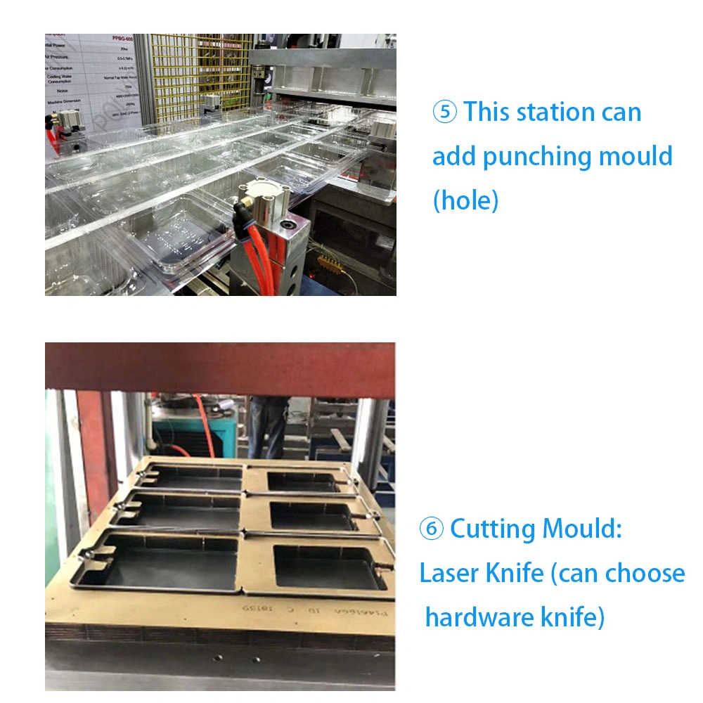 Tampa de plástico para copo PET/PLA caixa de alimentos recipientes para fruta Embalagem em embalagem Máquina de termoformação/Máquina de fabrico de formação automática com lâmina de laser