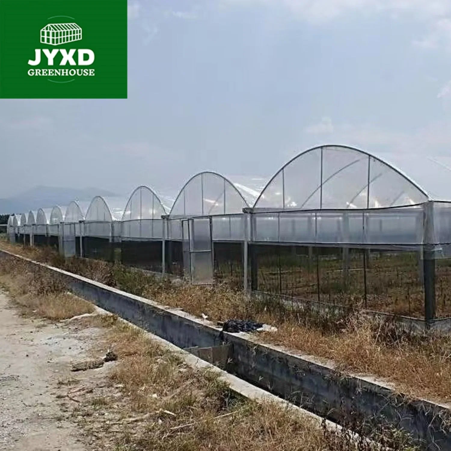 Best Design Commercial Plastic /Po Film Greenhouse for Tomato and Vegetable