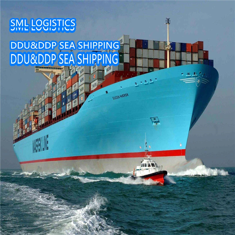 Le Transitaire/Agent aux USA/UK/Italie/France/Egypte/Koweït FBA Amazon Express Livraison par air/mer/Fret Fret/Shipping Container LCL en provenance de Chine DDP Service Logistique