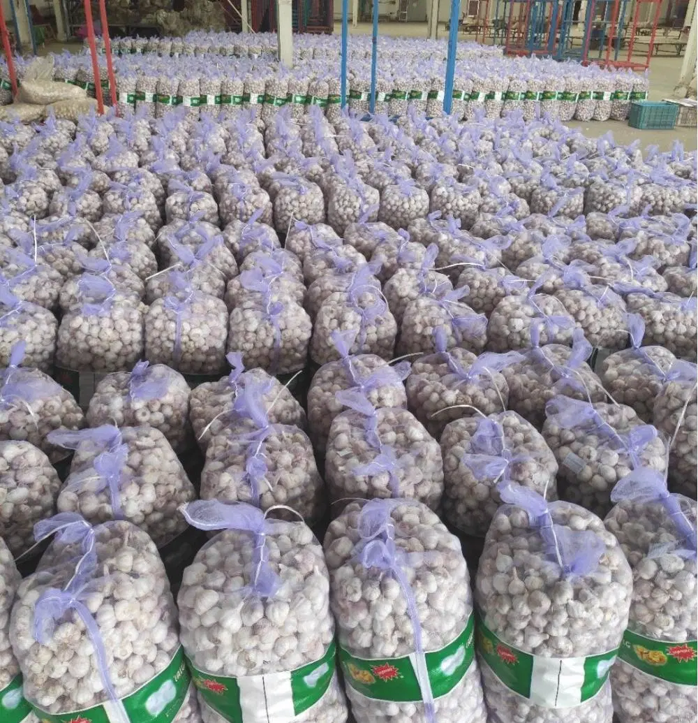 2020 New Crop for Singapore Garlic