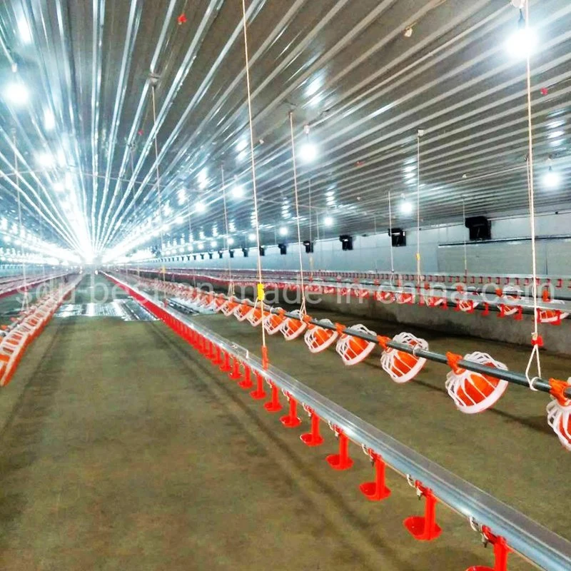 Automatic Poultry Farming Equipment Chicken Feeding System for Sale