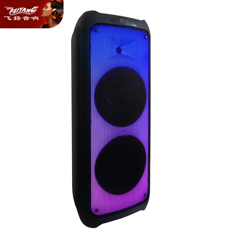 Professional Tws Double 10inch Big Power Recharged Bluetooth Loudspeaker