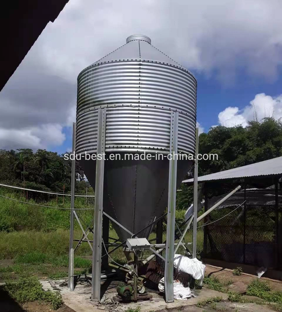 Auto Chicken House Broiler Farm Geflügel Ausrüstung zum Verkauf