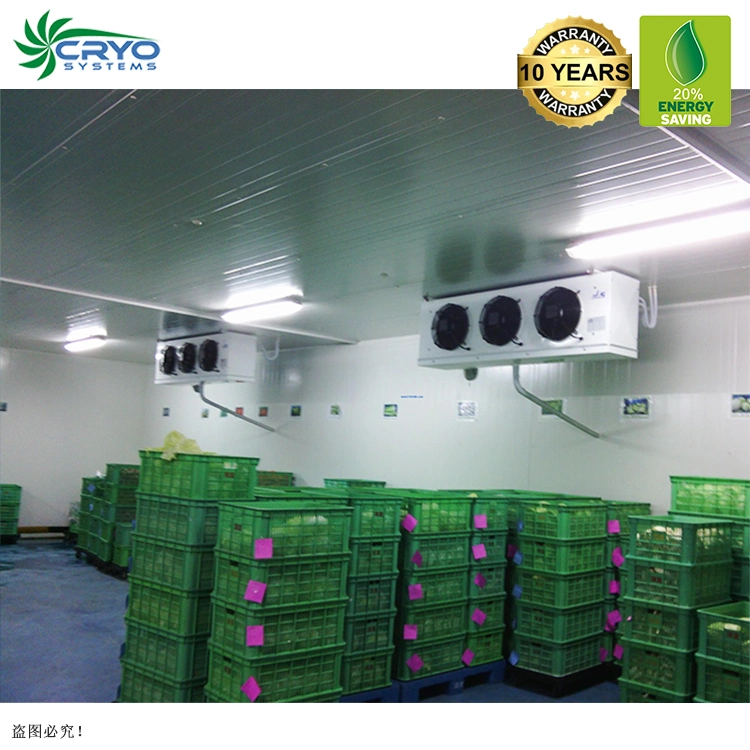 White Broccoli Rambutan Seeds AC Cold Storage Cooler Cold Storage Watermelon Cold Storage Room