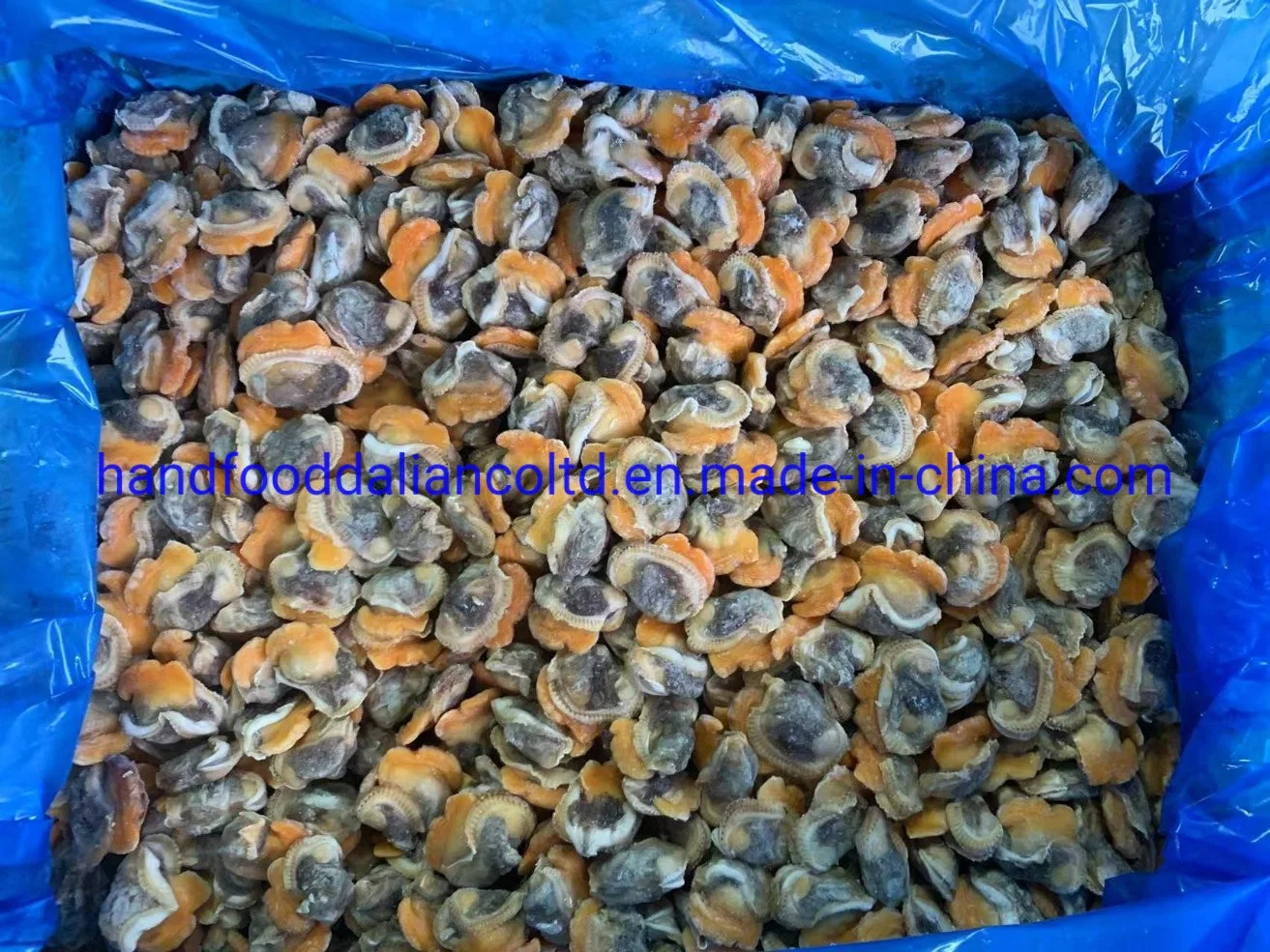 High quality/High cost performance  Seafood of Frozen Cooked Arkshell Clam Meat