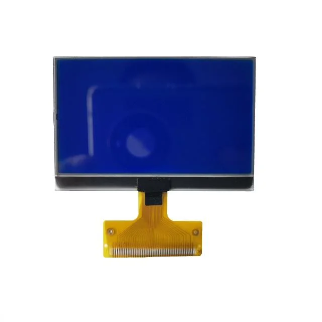 OEM/ODM Mono LCD Graphic Screen FSTN Positive Transmissive 12864 LCD Panel LCD Monitor