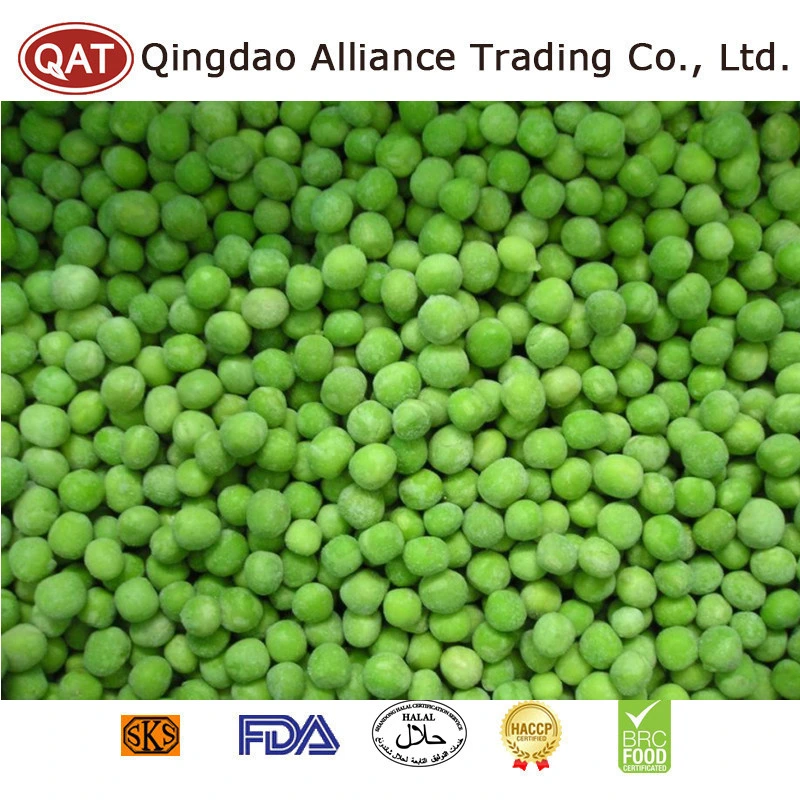 Global Hot Sale Organic Frozen Green Peas IQF Health Snow Pea congelado Pias de Jardim Verde para exportação