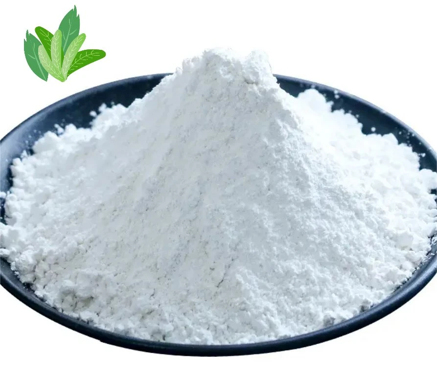 High quality/High cost performance  Nootropics 99% Powder Pramiracetam CAS 68497-62-1