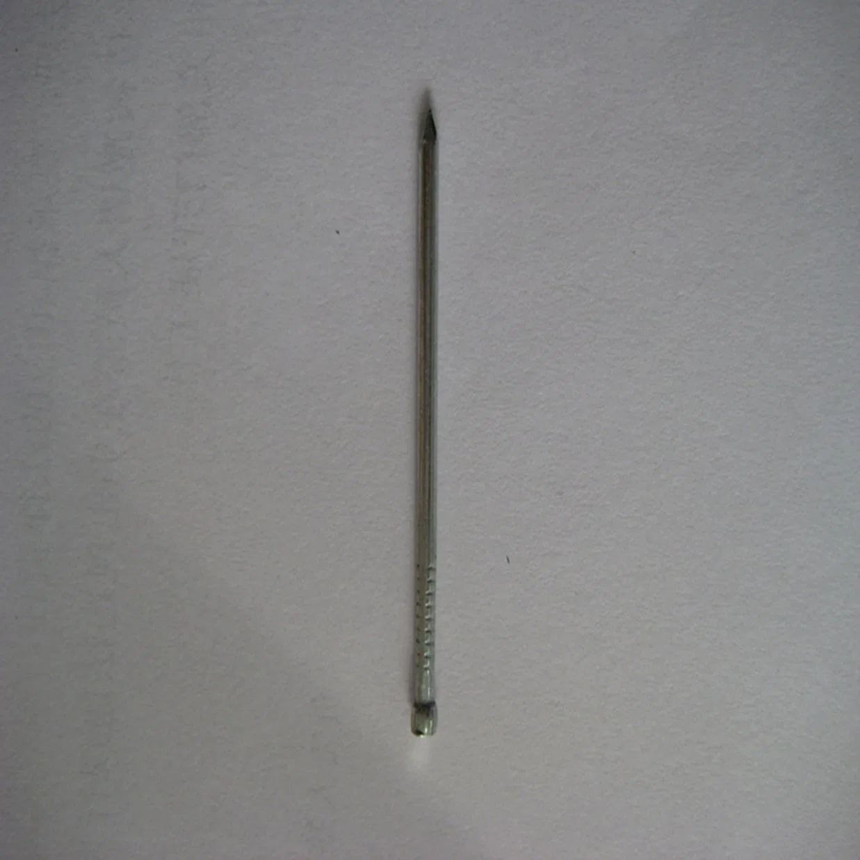 Polished Jolthead Nail / Furniture Nail (Plain)