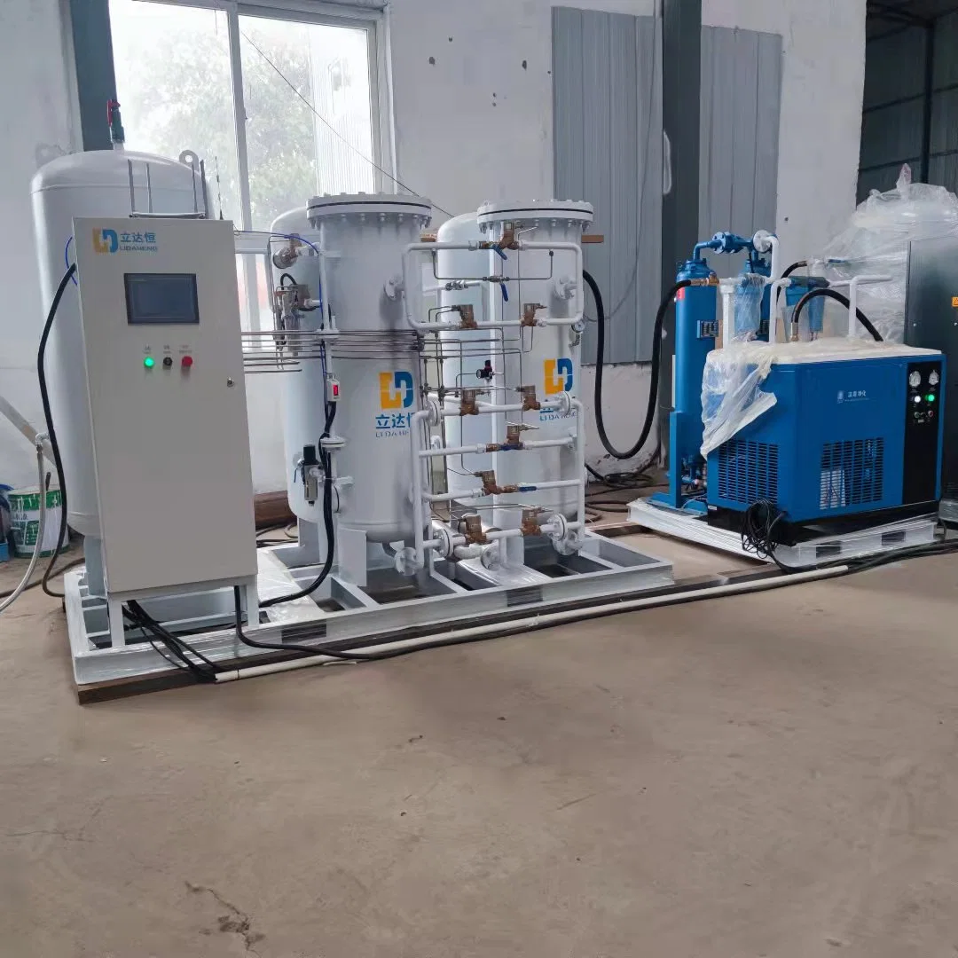 Ldh Gas 100m3 99.99% Compact Skid-Mounted High Purity Electronic and Food Nitrogen Generator