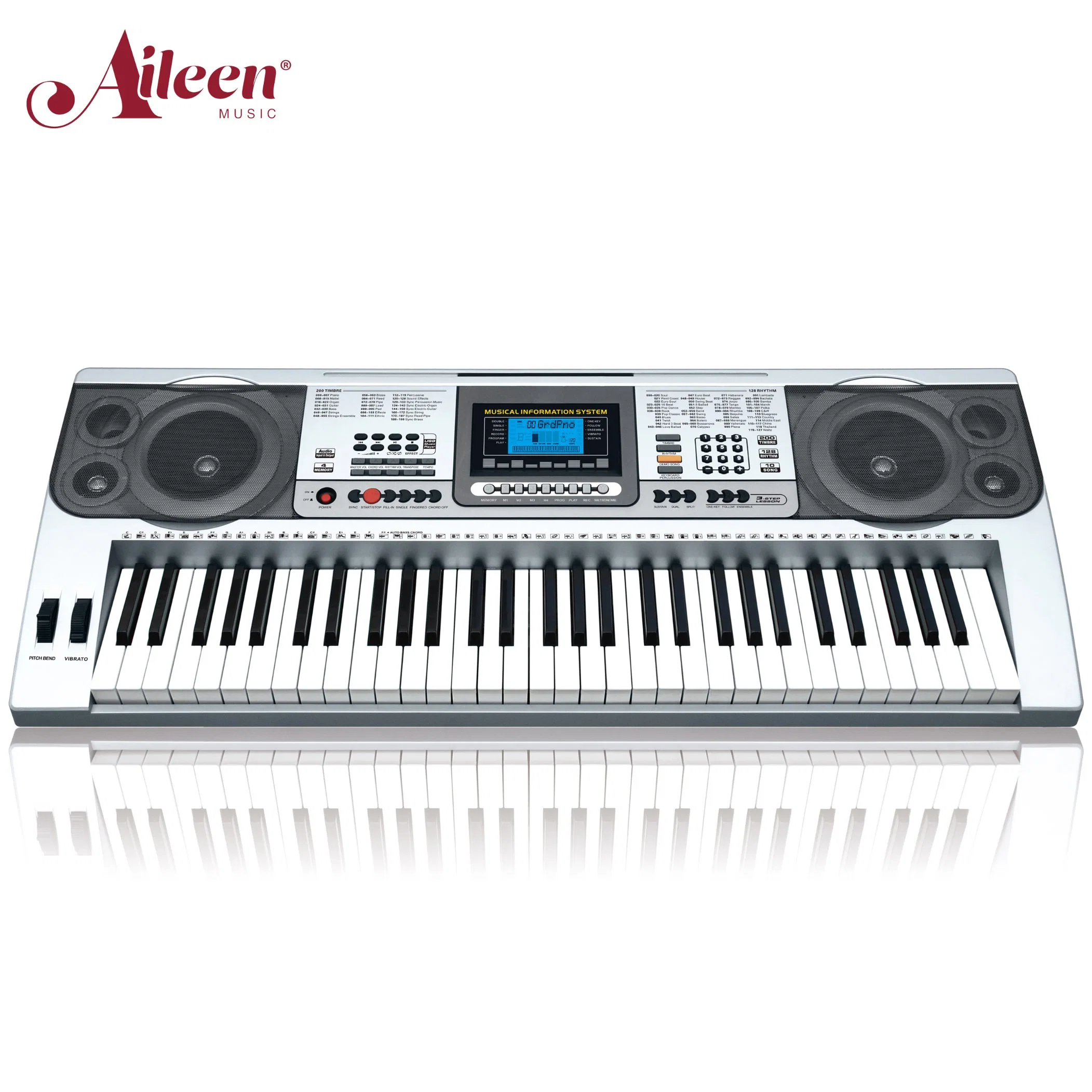 OEM de venta al por mayor de 61 teclas del teclado de piano eléctrico Instrumentos Musicales (EK61222)