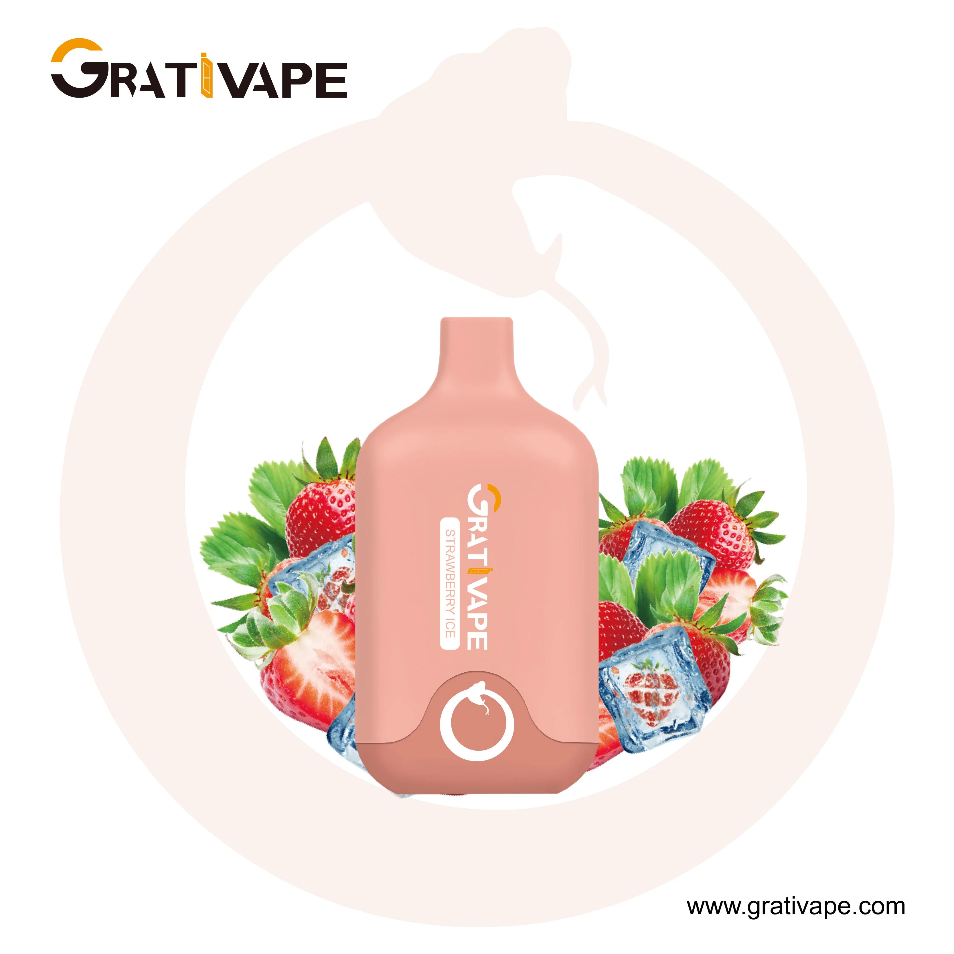 Grativape Grab 6000 Wholesale/Supplier Vape Disposable/Chargeable Vaporizer 6000 Puffs 5%Nicotine Waka Rechargeable Ecig