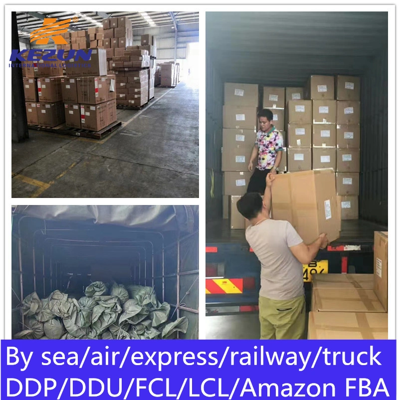 Battery Liquids Dg Cargo Air/Sea Freight Shipping Agent From China to Iran