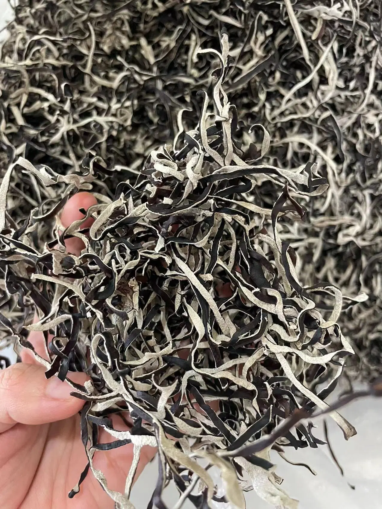 New Crop Chinese Dried Black Fungus in Plastic