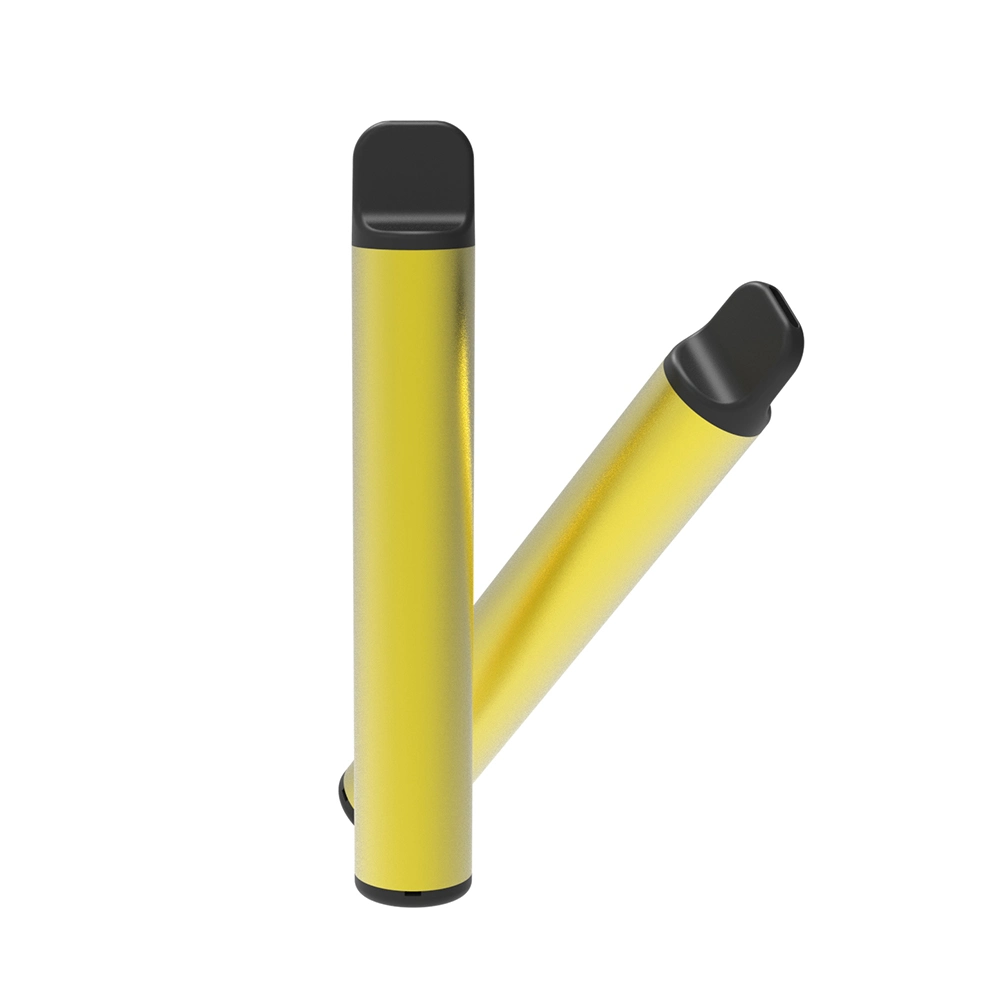 Disposable/Chargeable Pod Pen with Tpd Flavors for Europe Vape Market