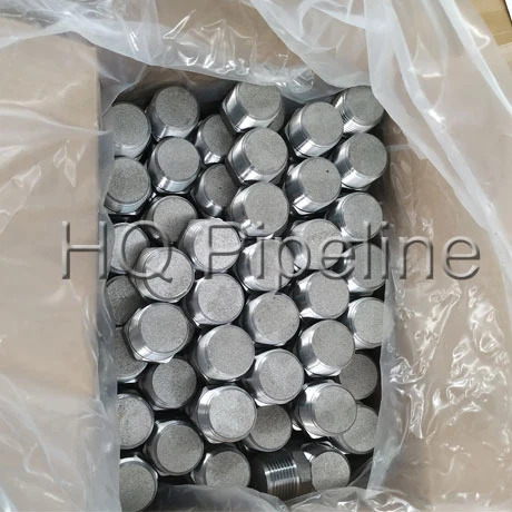 High Pressure Pipe Fittings A105 Forged Carbon Steel Hexagon Plug