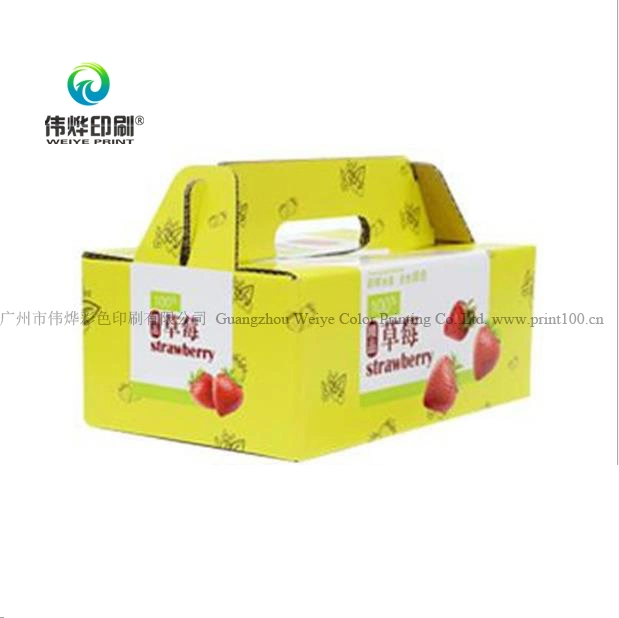 Corrugated Paper Printing Color Hanger Storage Packaging Mailer Box