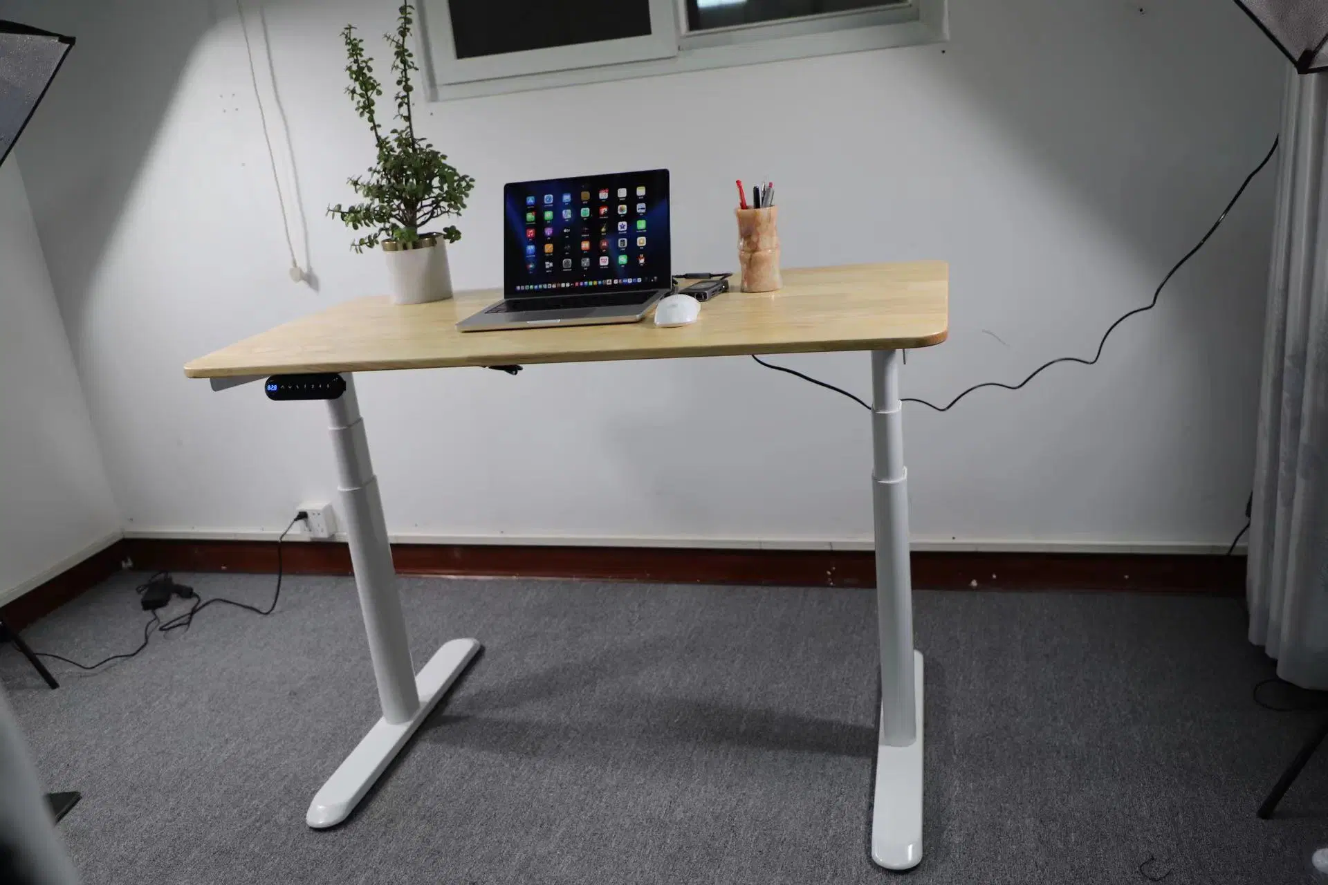 Professional Signal Motor Electric Standing Desk Two Legs Lifting Table