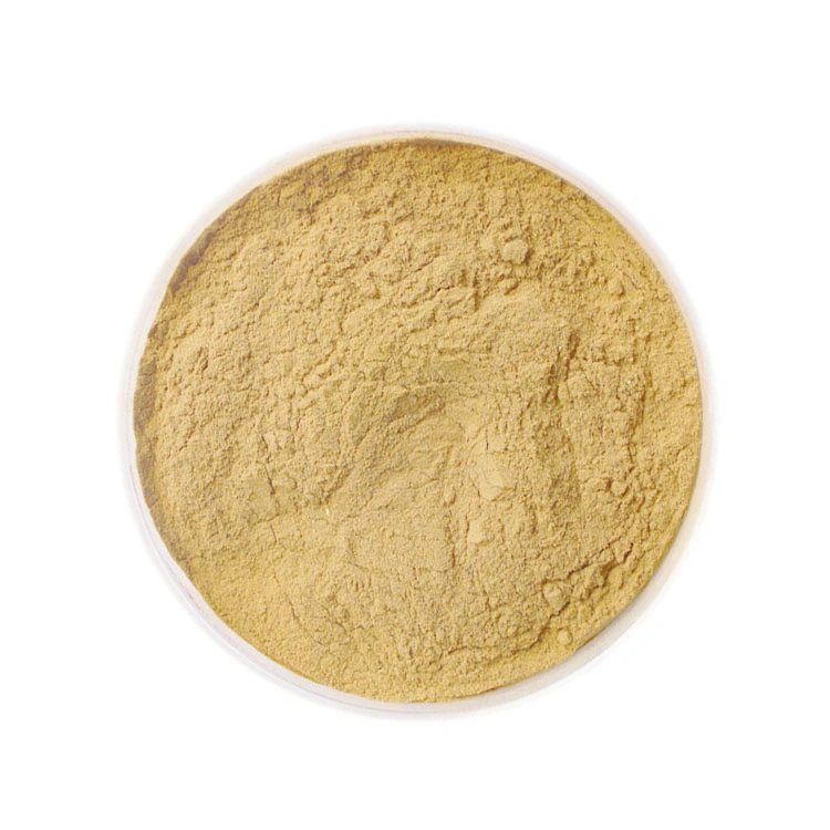 Food Grade Natural Organic Motherwort Herb Extract Powder