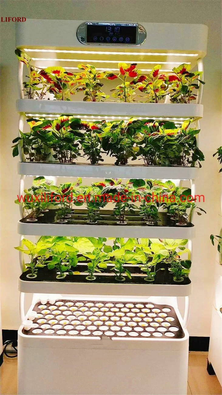 Sistema de cultivo de hidroponia LED para plantação de vegetais