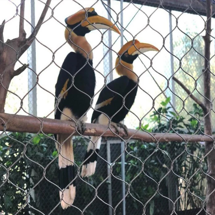 Metalldraht Seil Flexibel Papagei Käfig Ara Zaun Toucan Protective Aviary Net