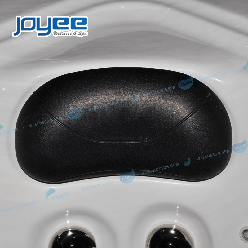 Joyee 4 6 Persons 4m Dual Zone Garden Outdoor Acrylic Hydro Massage SPA Surf Swim Pool