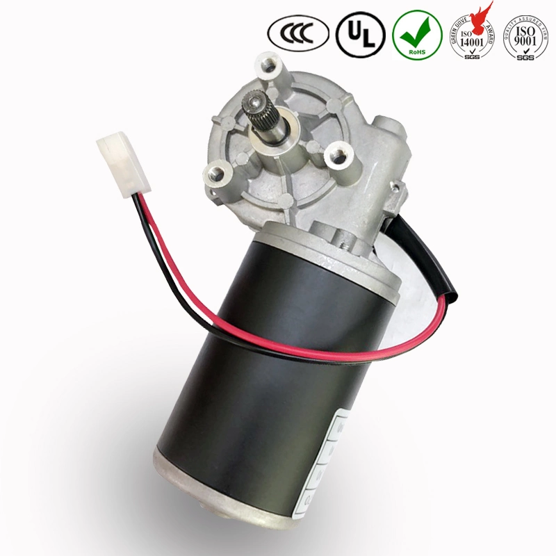 Permanent Magnet 24V 30W DC Gear Motor Low Speed Electric Adjustable Desk Worm Motor