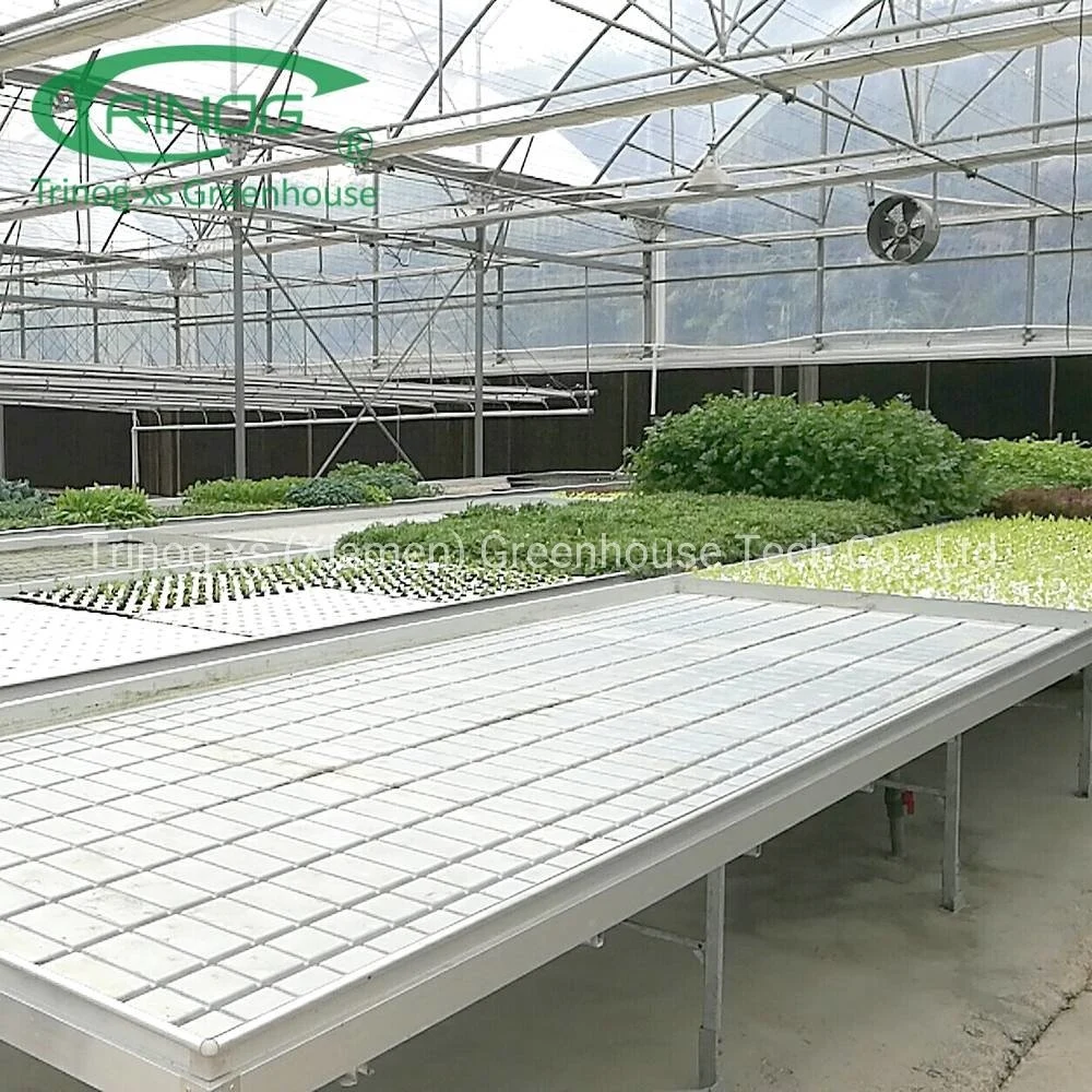 Ebb and Flow tray bench hydroponics system for seedling