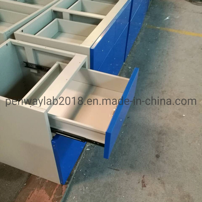 Chemical Storage Cabinet Lab Bench Laboratory Furniture