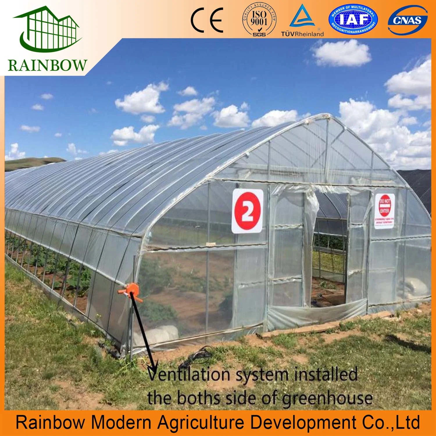 Top Quality China Single Span Polyethylene Film Greenhouse Manufacturer