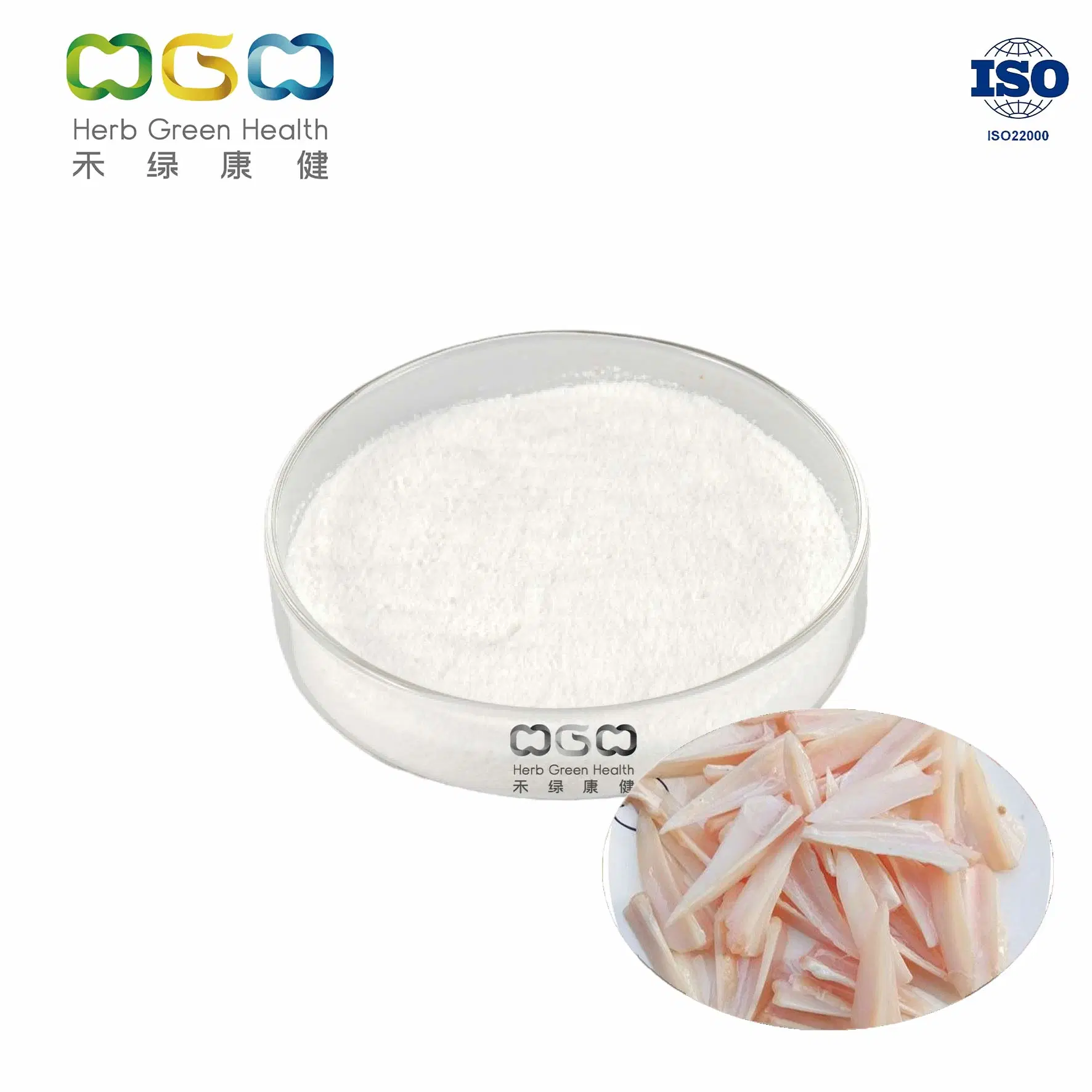 Chinese Supplier Cosmetic Raw Materials Skin Care Collagen II Hydrolized Collagen Powder