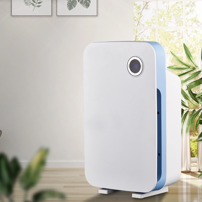 HEPA Air Cleaner with Ionizer