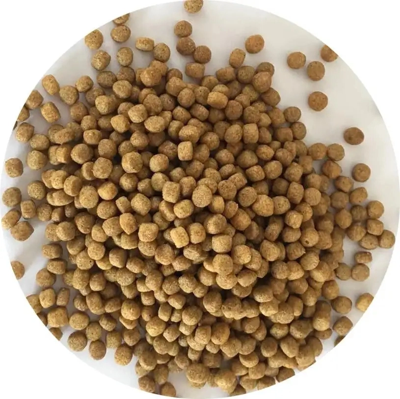 Vollautomatische Pet Food Fish Float Feed Pellet Verarbeitung Produktion Linienmaschine