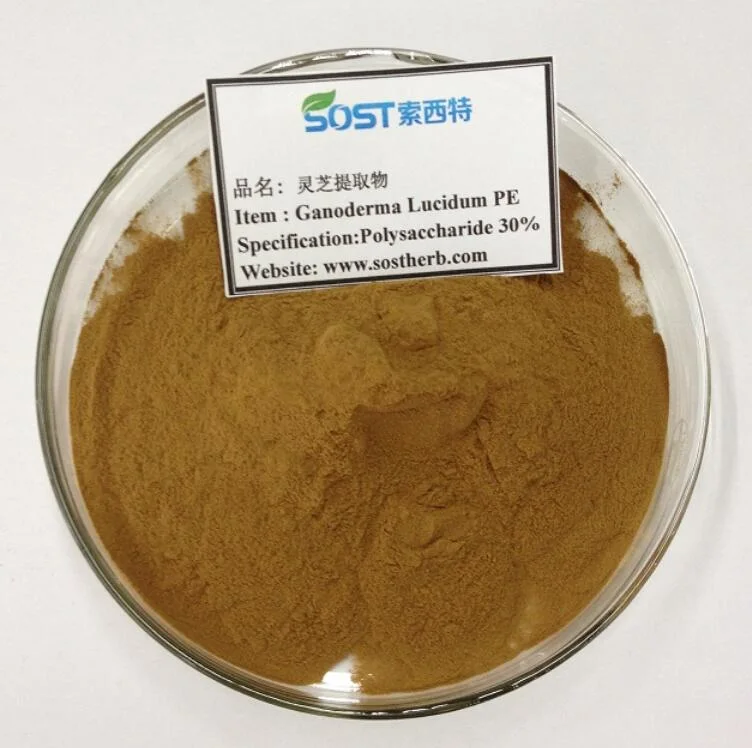 EU Organic high quality reishi mushroom powder