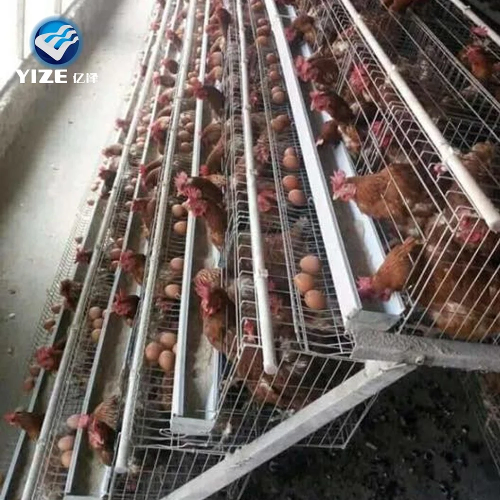 Criação automática de aves domésticas sistema de Cage de camadas baratas para galinha Coop