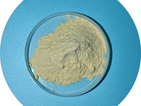 Fast Shipment Manufacturer Supply Xanthan Gum Powder CAS 11138-66-2 Xanthan Gum