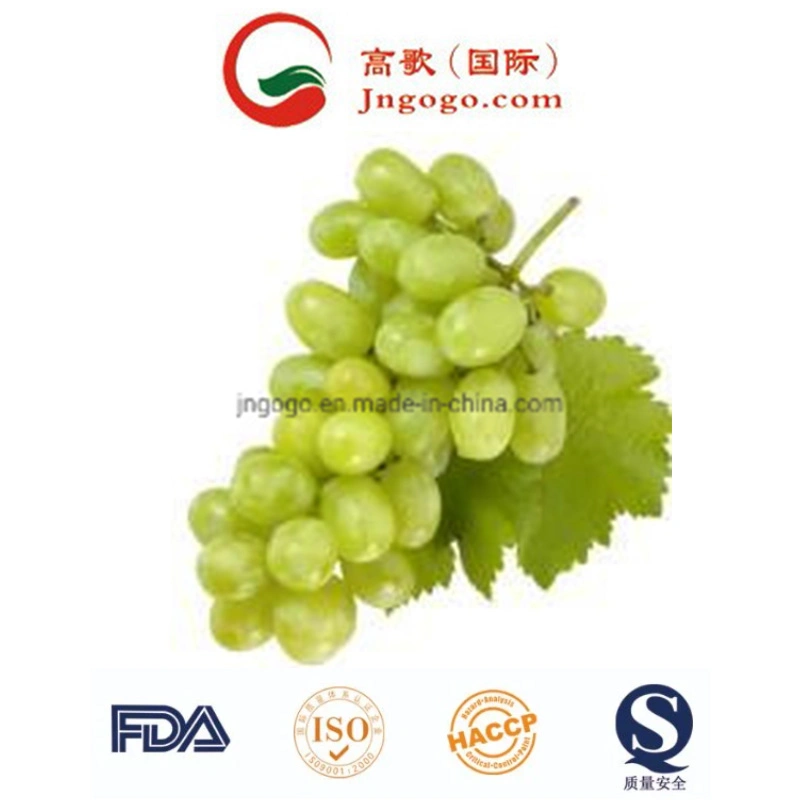 Uvas frescas de qualidade super frescos frutos Crimson para exportar