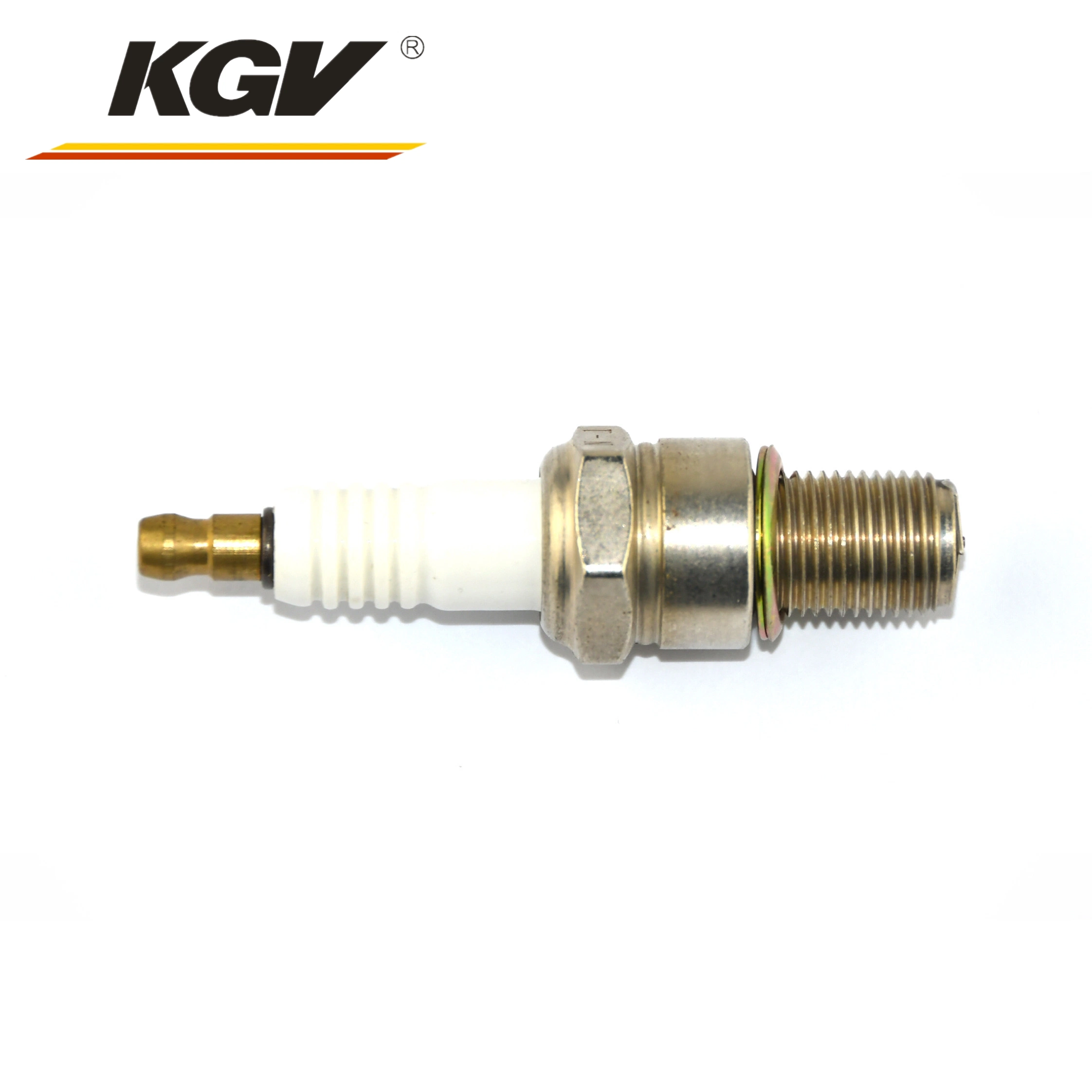 R2f15-79 Replace Rn79g Ge3-5 Natural Gas Generator /Genset Spark Plug