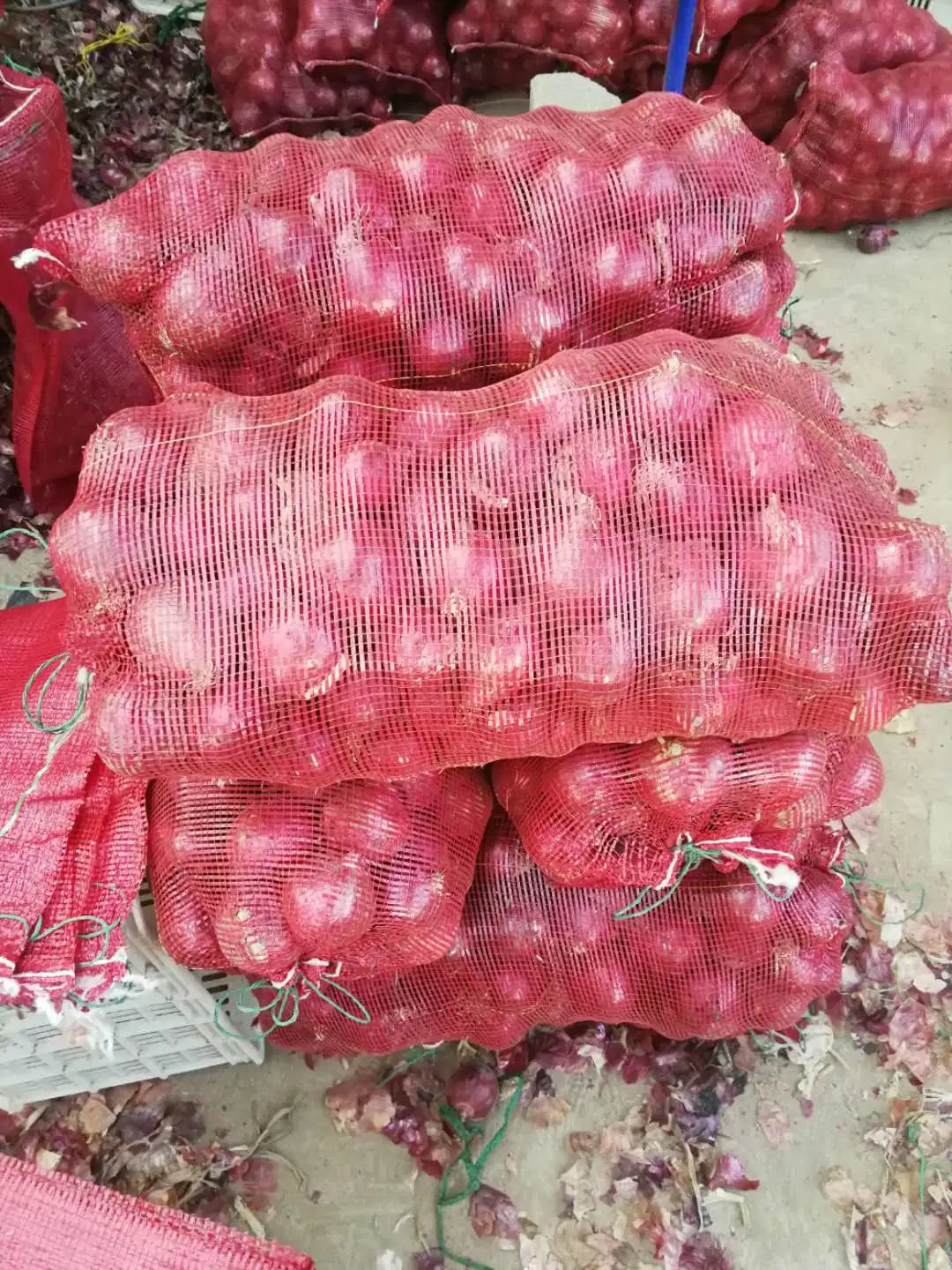 Chinese Fresh Red Onion