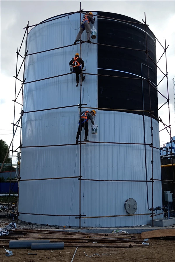 1500m3 Internal Circulation Anaerobic Biodigester for Waste Pharmaceutical Water