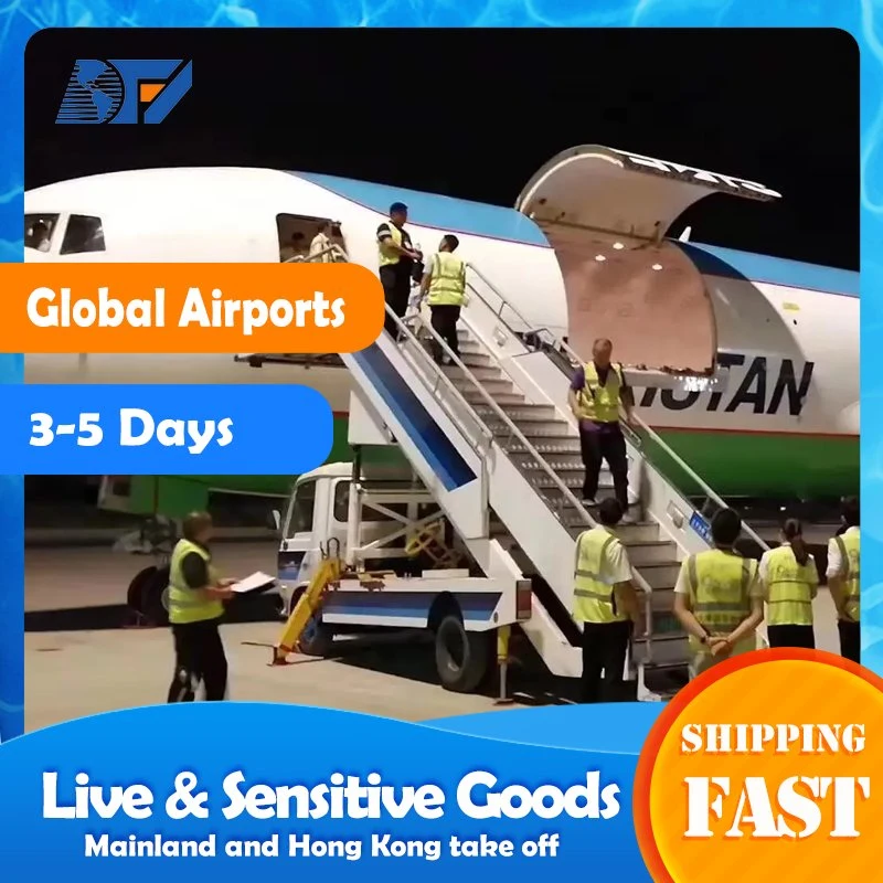 Agente de servicio de transporte de contenedores de transporte de transporte de Air sea Railway Express Courier De China a Nigeria Singapur